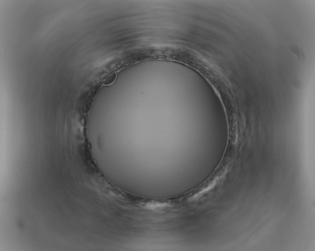 X0000113051013200909101934