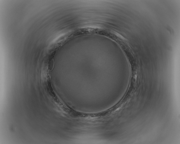 X0000113051014200909101934