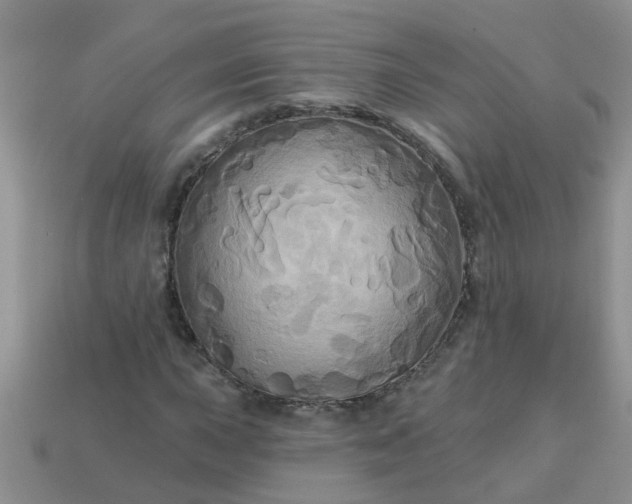 X0000113051015200909101935