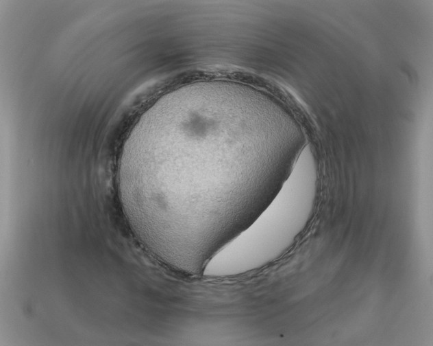 X0000113051016200909101935