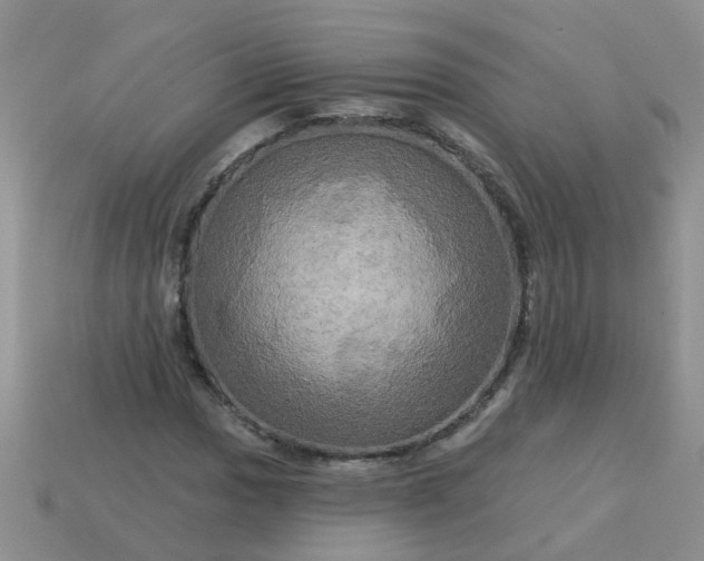 X0000113051017200909101935