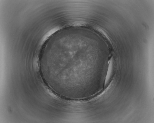 X0000113051018200909101935