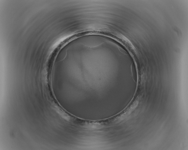 X0000113051019200909101935