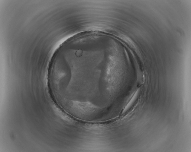 X0000113051020200909101935