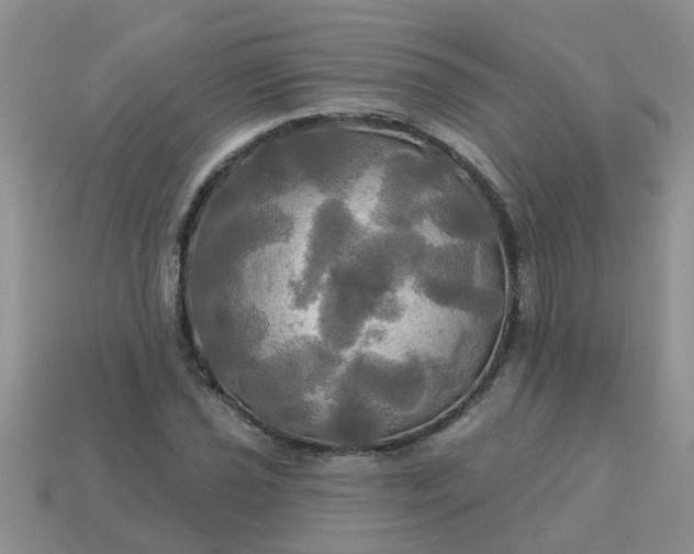 X0000113051021200909101935