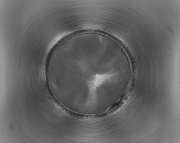 X0000113051022200909101935