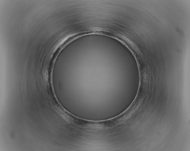 X0000113051023200909101935