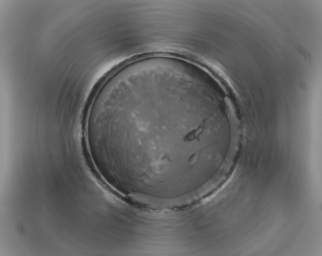 X0000113051024200909101935