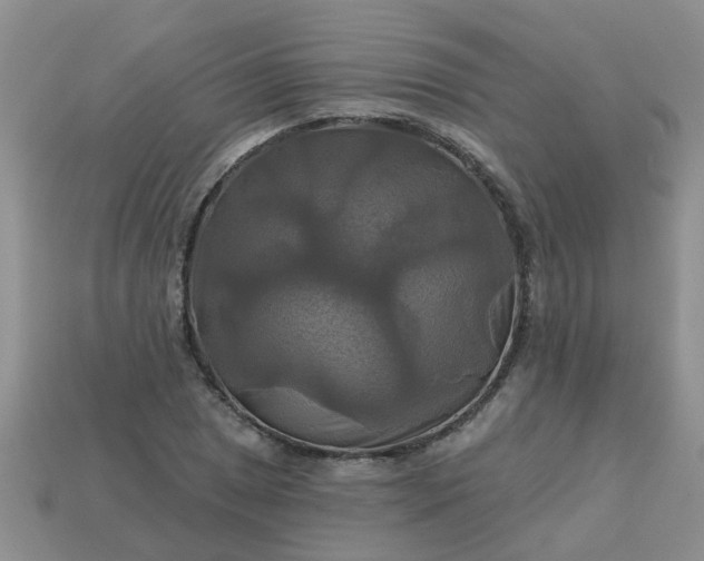 X0000113051025200909101935