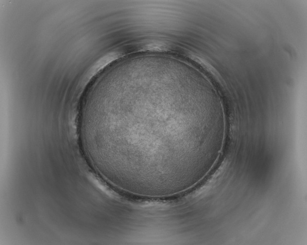 X0000113051026200909101935