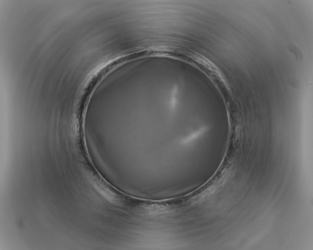 X0000113051027200909101935