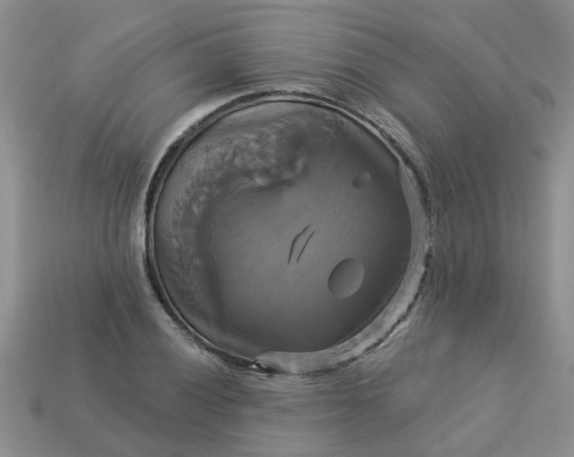 X0000113051028200909101935