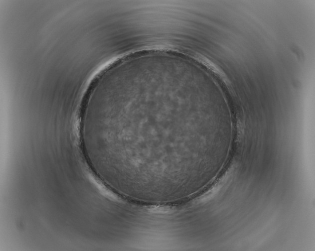 X0000113051029200909101935