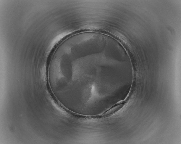 X0000113051030200909101935