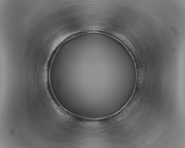 X0000113051031200909101935