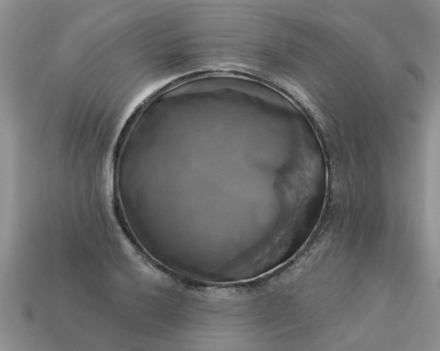 X0000113051032200909101935