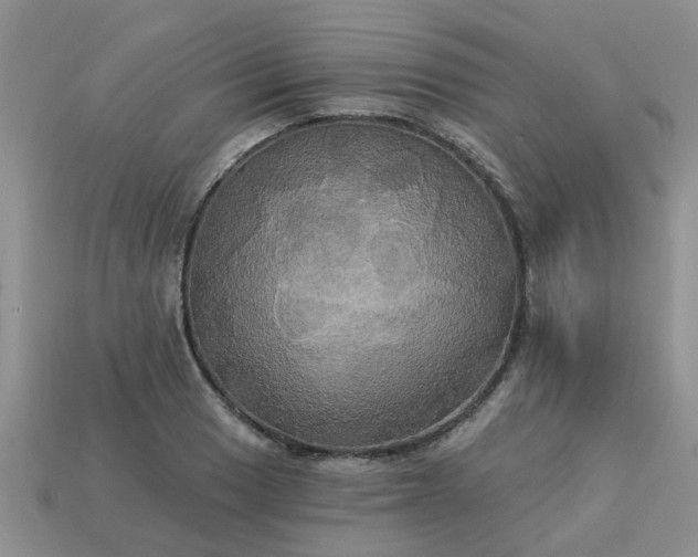 X0000113051033200909101935