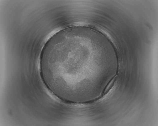 X0000113051034200909101935