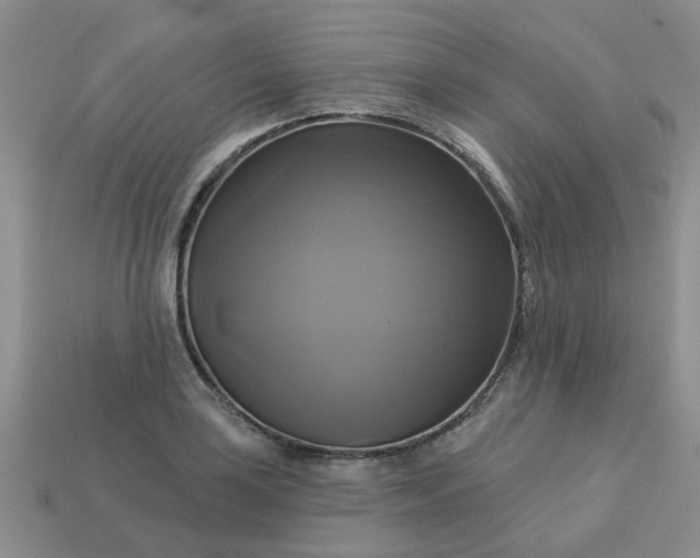 X0000113051035200909101935