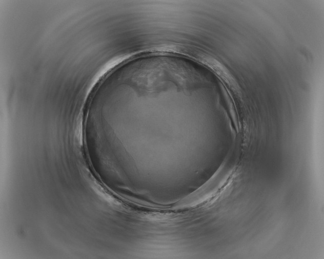 X0000113051036200909101935