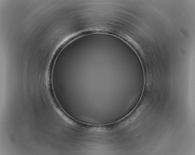 X0000113051037200909101935