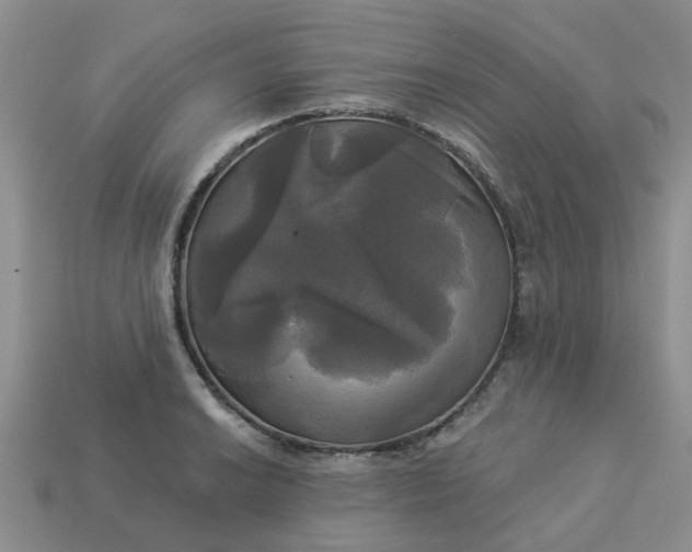 X0000113051038200909101935