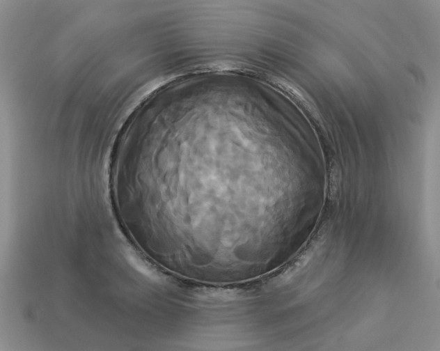 X0000113051039200909101935