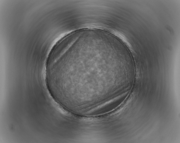 X0000113051040200909101935