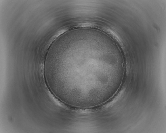 X0000113051041200909101935