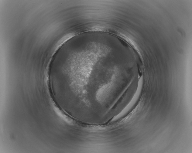 X0000113051042200909101935