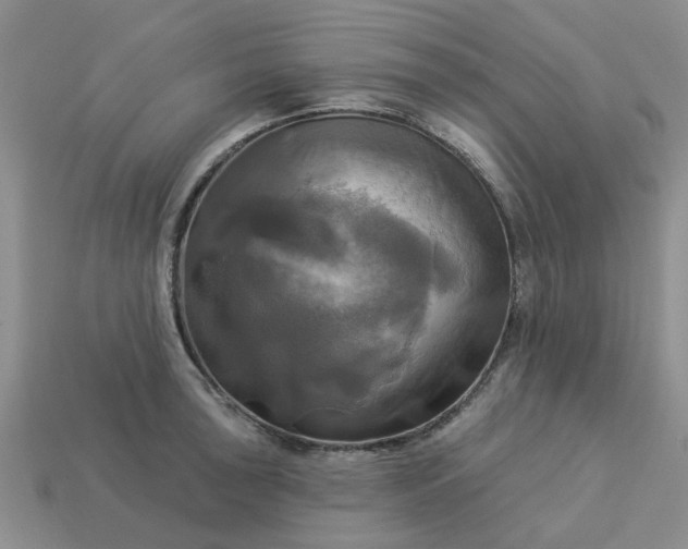 X0000113051043200909101935