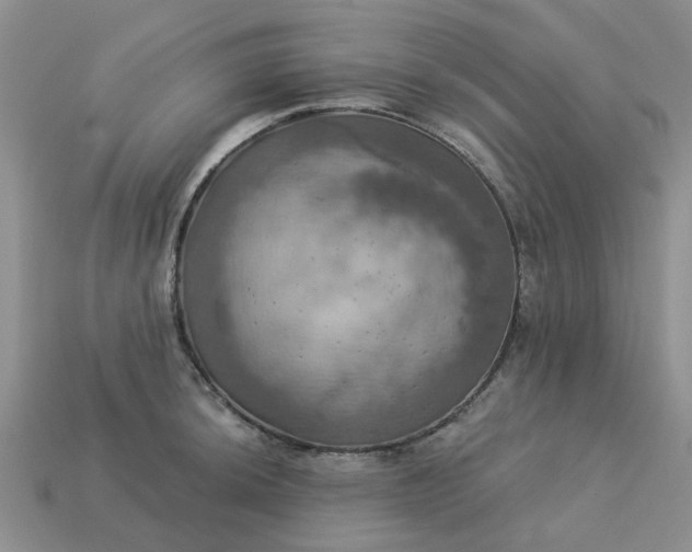 X0000113051044200909101935