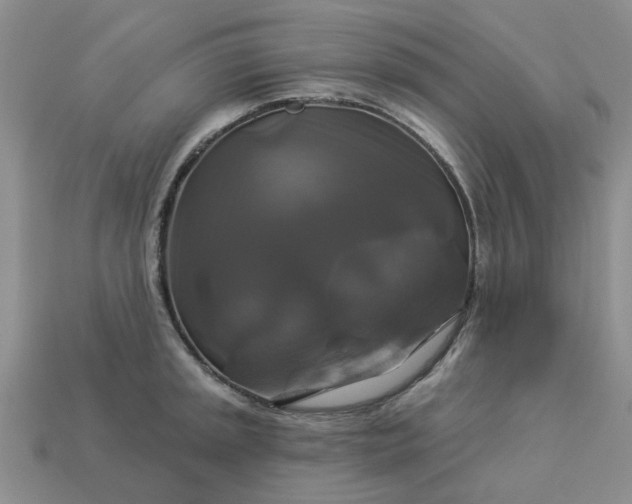 X0000113051045200909101935