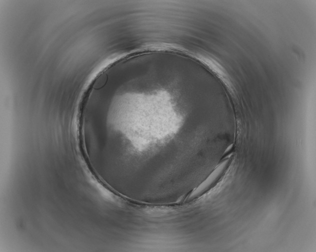 X0000113051046200909101935