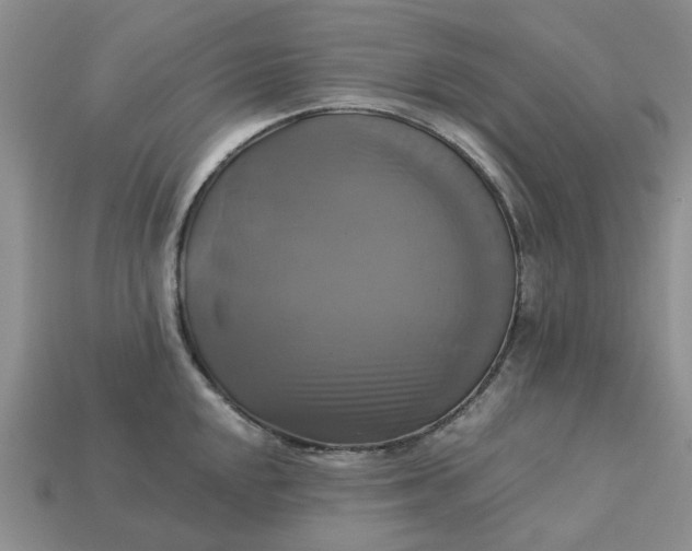 X0000113051048200909101935