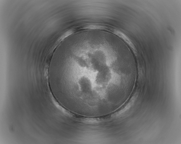 X0000113051049200909101935