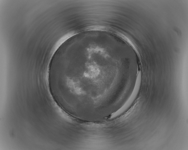 X0000113051050200909101935