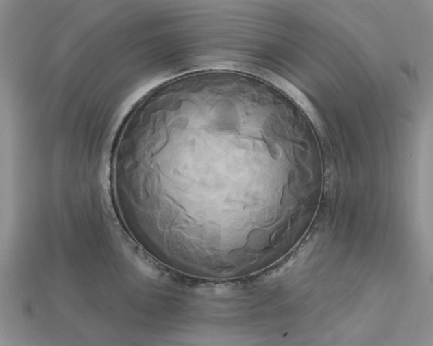 X0000113051051200909101935