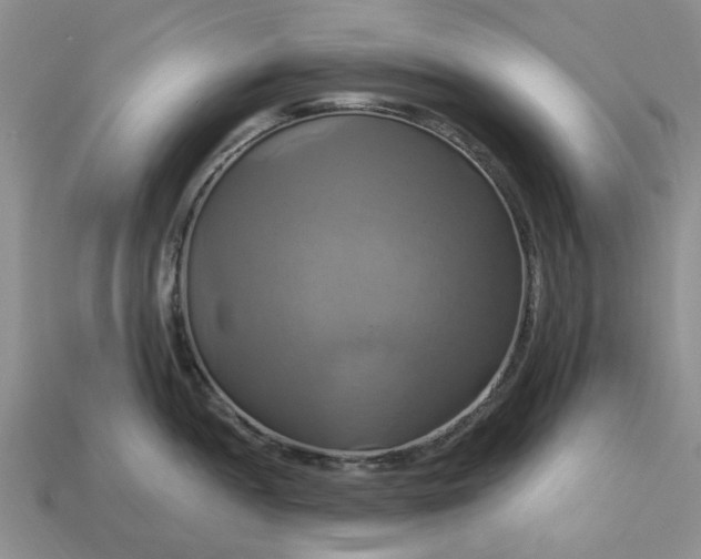 X0000113051052200909101935