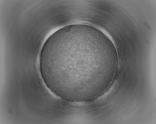 X0000113051053200909101935