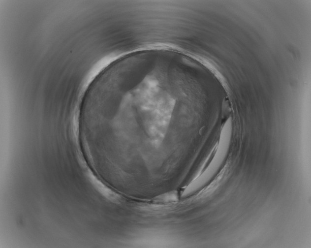 X0000113051054200909101935