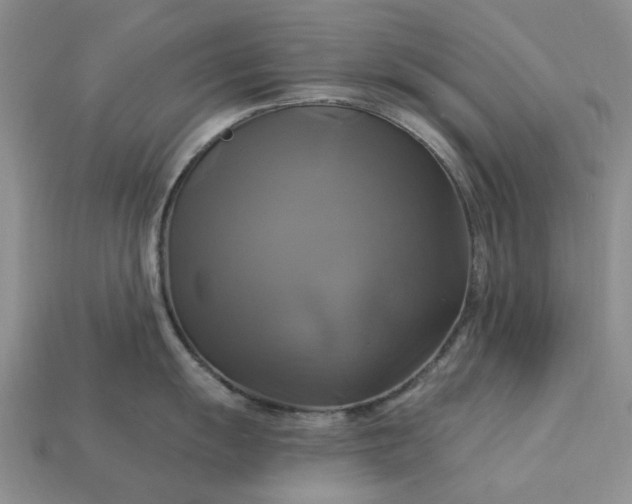 X0000113051055200909101935