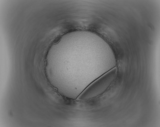 X0000113051057200909101934