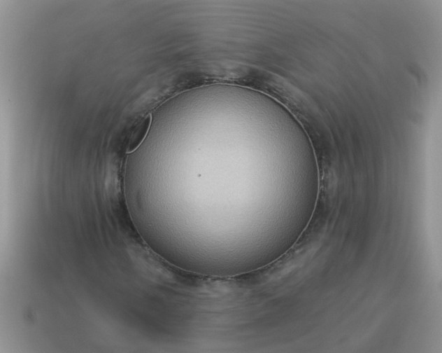 X0000113051058200909101934