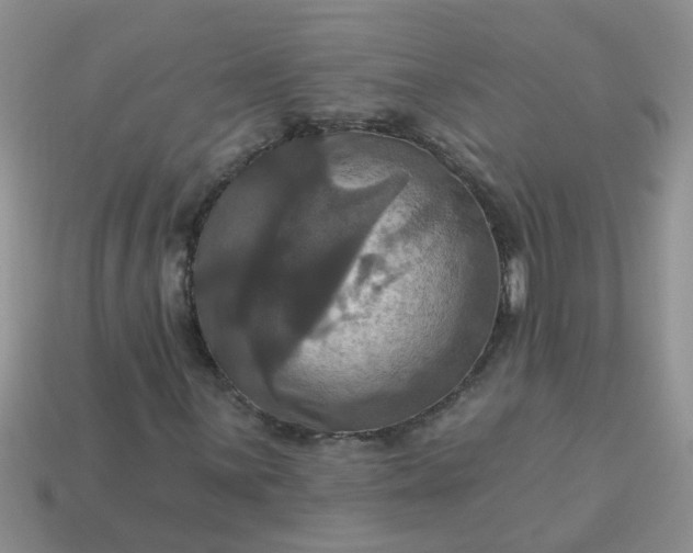 X0000113051059200909101934