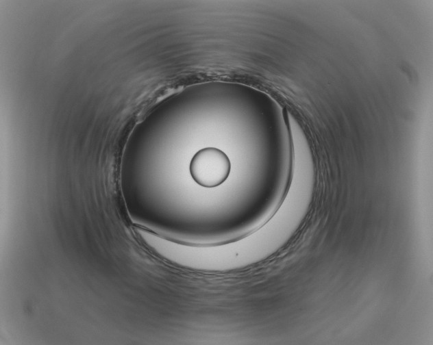 X0000113051060200909101934