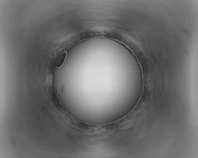 X0000113051061200909101934