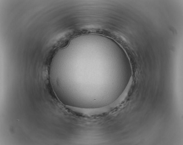 X0000113051062200909101934