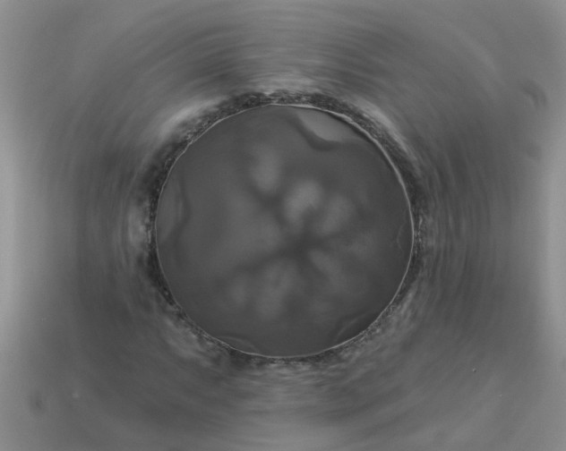 X0000113051063200909101934