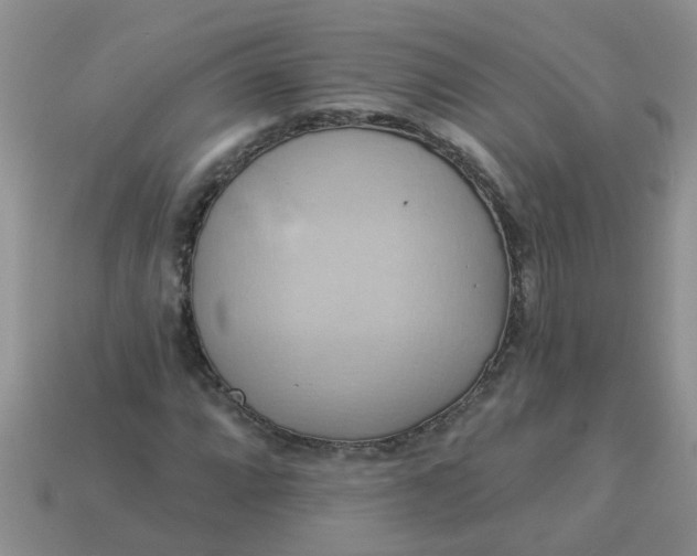 X0000113051064200909101934